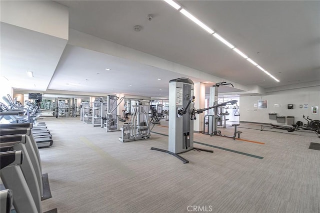 gym featuring light carpet