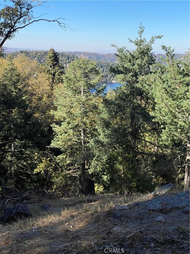 24989 Highland Dr, Crestline, CA 92325