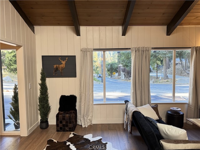 sitting room featuring a wealth of natural light, wooden walls, and dark wood-type flooring