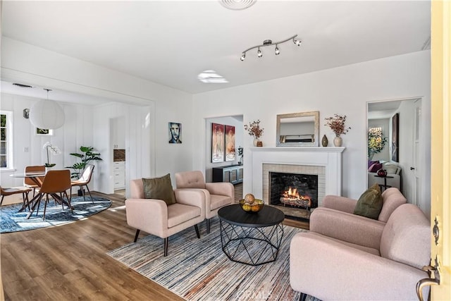 living room with a fireplace and hardwood / wood-style flooring