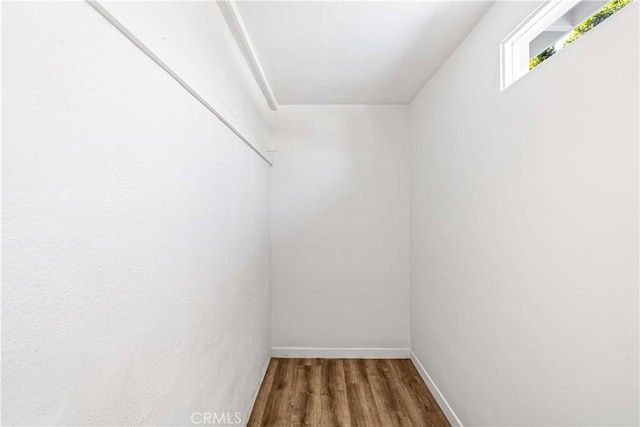 spacious closet featuring hardwood / wood-style flooring