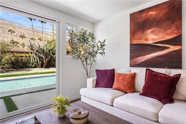 living room featuring hardwood / wood-style floors