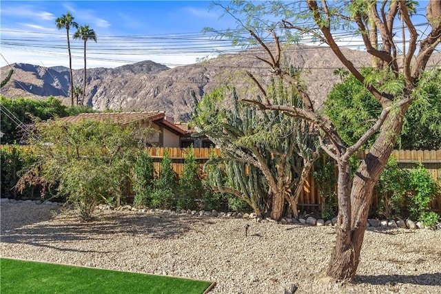 view of yard with a mountain view