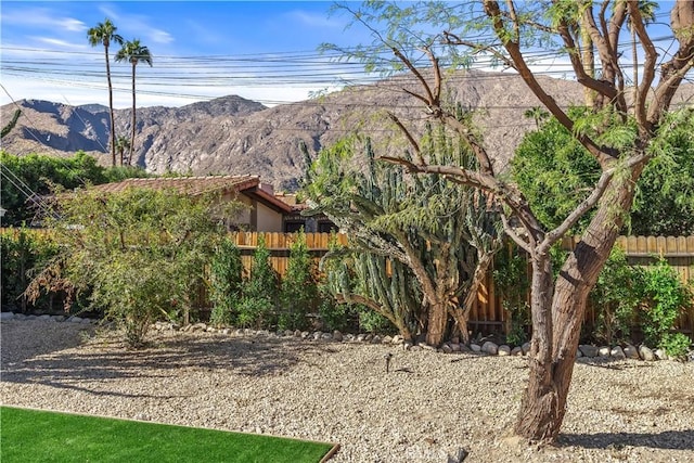 view of yard with a mountain view