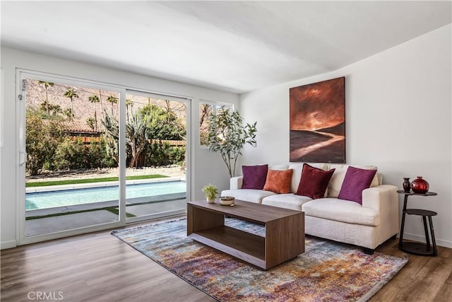 living room with hardwood / wood-style flooring