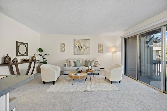 carpeted living room with a textured ceiling and a baseboard radiator