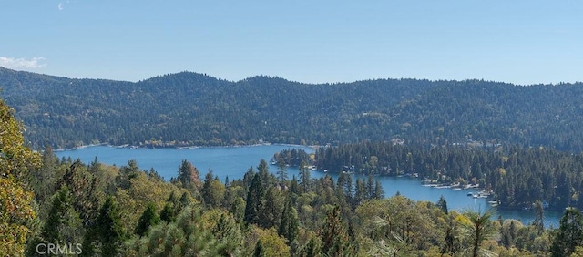 water view with a mountain view