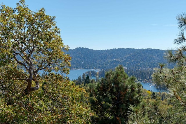 property view of mountains with a water view