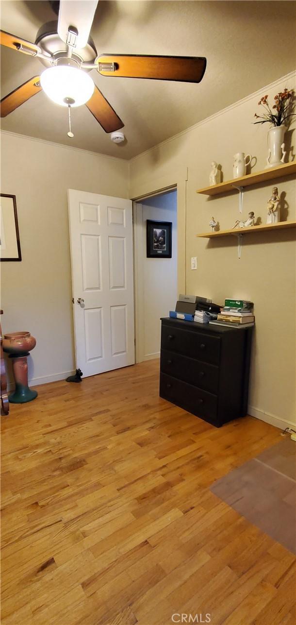 bedroom featuring light wood-type flooring and ceiling fan