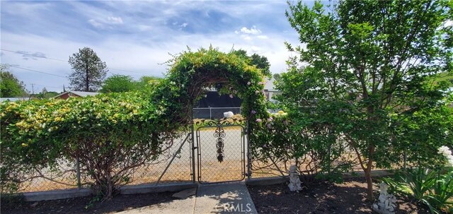 13125 Bly Ave, Paskenta, CA 96074 - photo 39