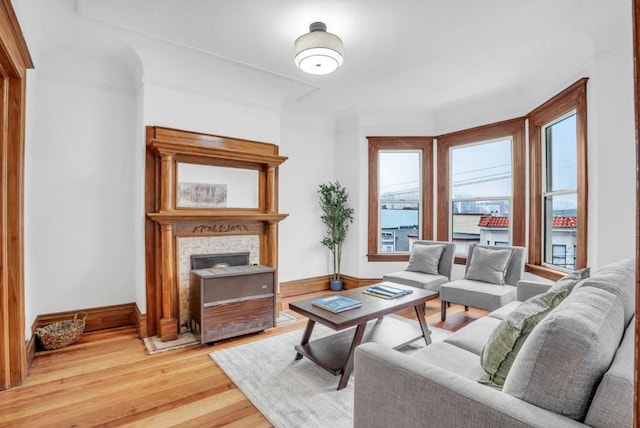 living room with wood-type flooring