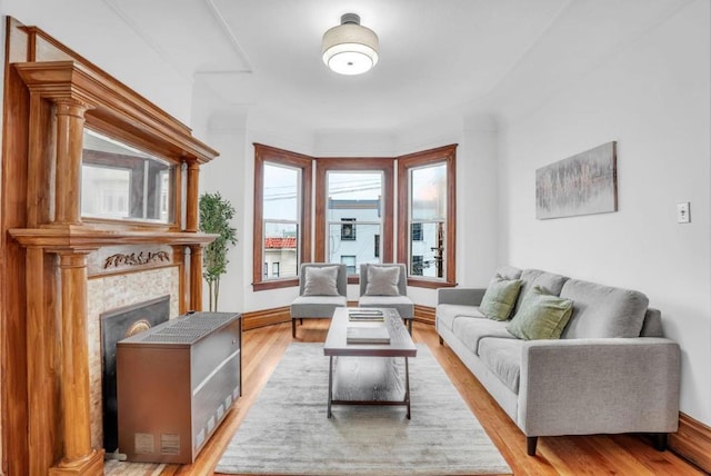 living room with a fireplace and light wood-type flooring