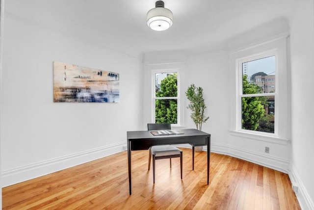 office space with wood-type flooring and a wealth of natural light