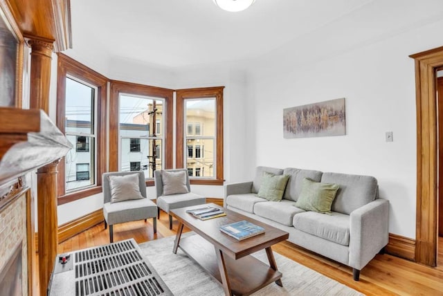 living room featuring light hardwood / wood-style floors