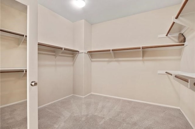 spacious closet featuring light colored carpet