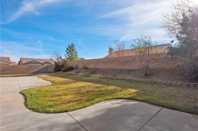 view of yard featuring a patio area