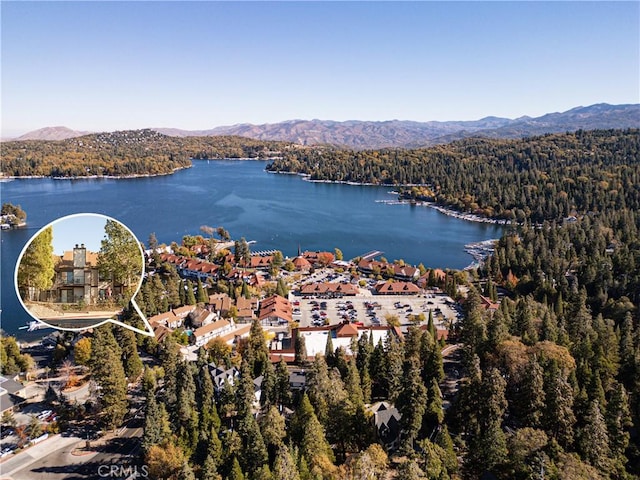 birds eye view of property with a water and mountain view