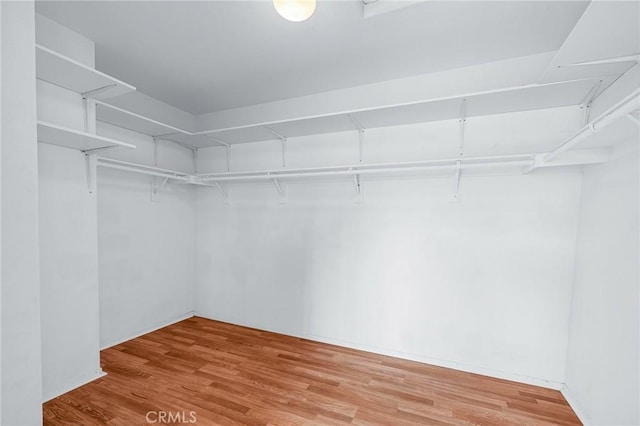 spacious closet featuring hardwood / wood-style flooring