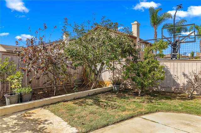 view of yard featuring a patio