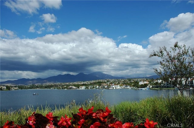 water view with a mountain view