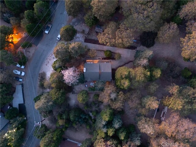 467 Cimarron Ln, Lake Arrowhead, CA 92352 - drone / aerial view