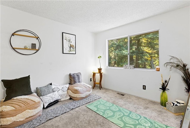 sitting room featuring carpet flooring and a textured ceiling