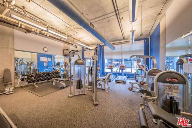 workout area with carpet