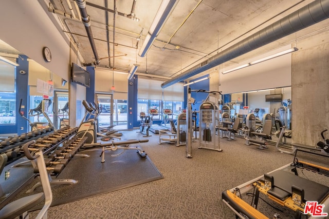 exercise room featuring carpet