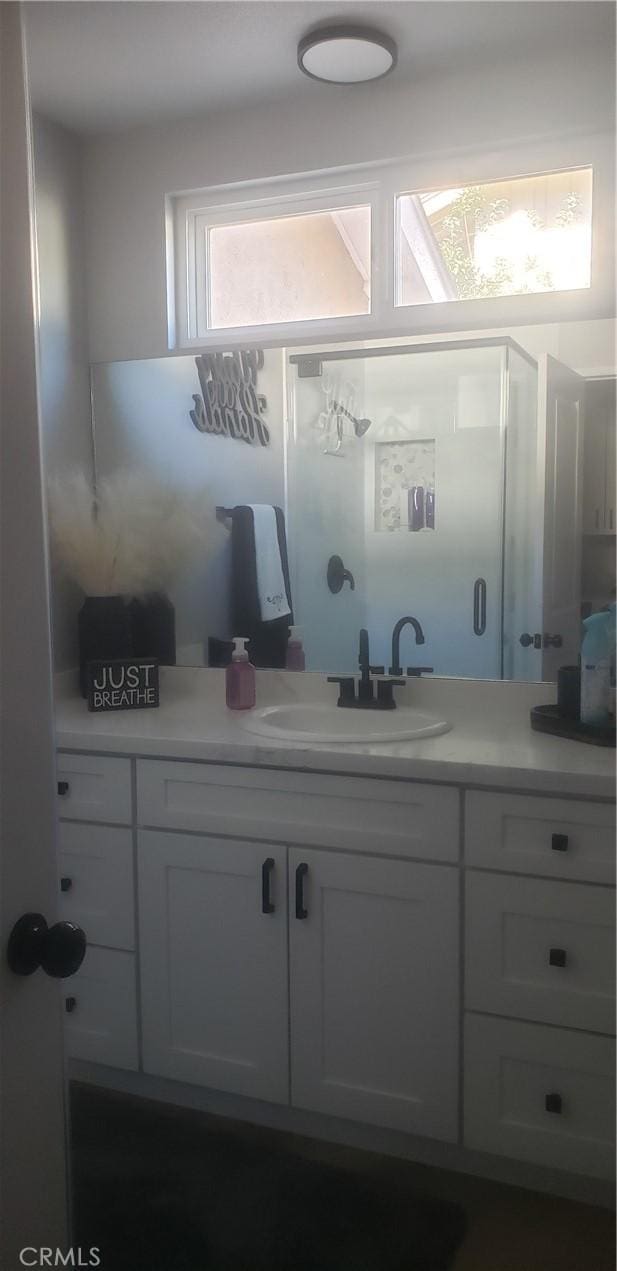 bathroom featuring vanity and a wealth of natural light