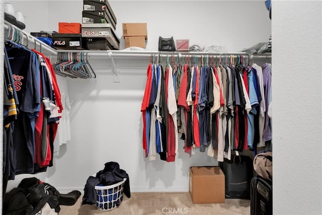 spacious closet with carpet flooring