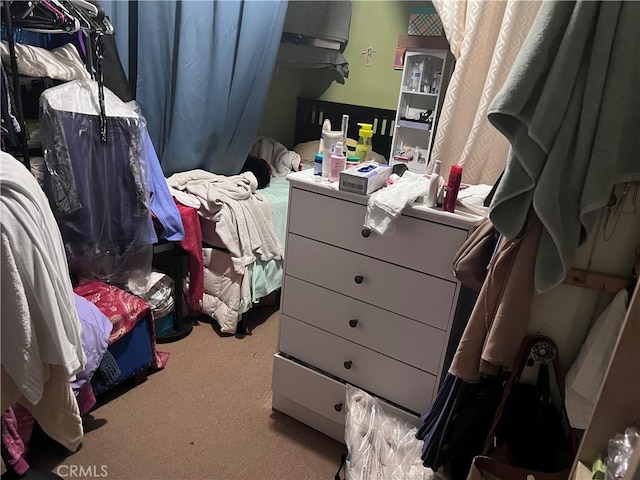 spacious closet featuring light carpet