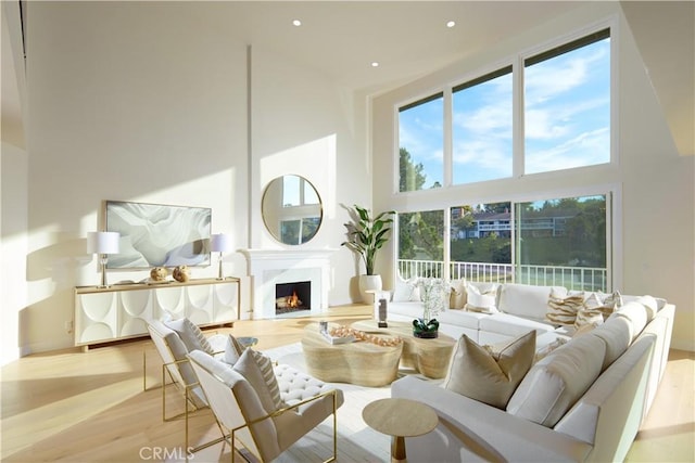 living room with a towering ceiling and light hardwood / wood-style floors