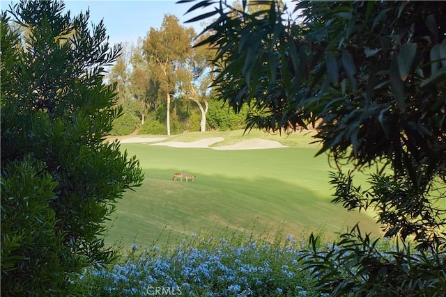 1 Rue Du Parc, Newport Beach, CA 92660 - view of property's community featuring view of golf course and a yard
