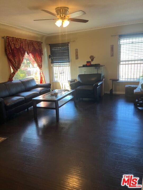 living room with ceiling fan, crown molding, and dark wood-type flooring