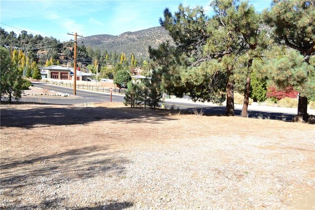 16410 Askin Dr, Pine Mountain Club, CA 93222 - photo 11