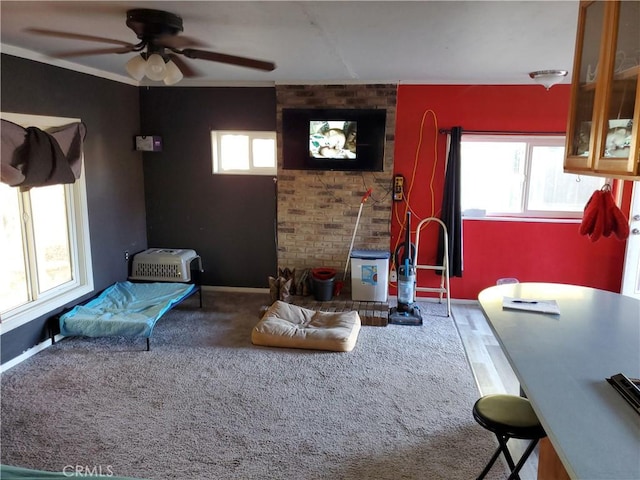 living room with ceiling fan and hardwood / wood-style flooring