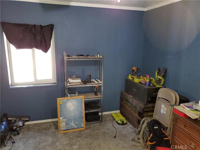 carpeted bedroom with ornamental molding