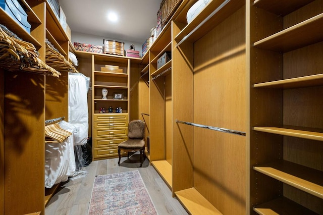 spacious closet featuring light hardwood / wood-style flooring