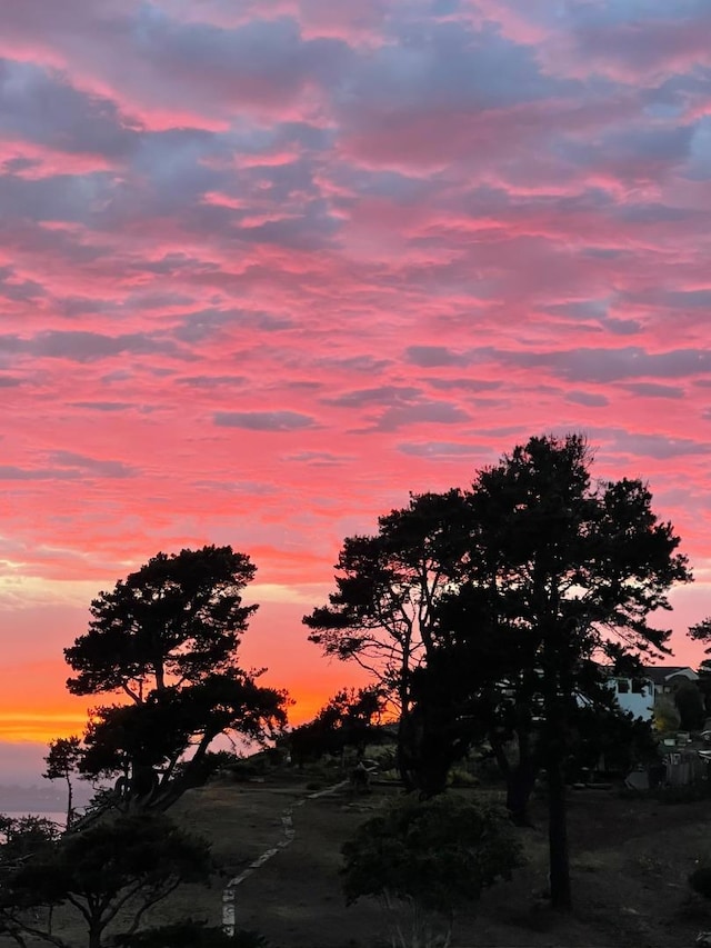 view of nature at dusk