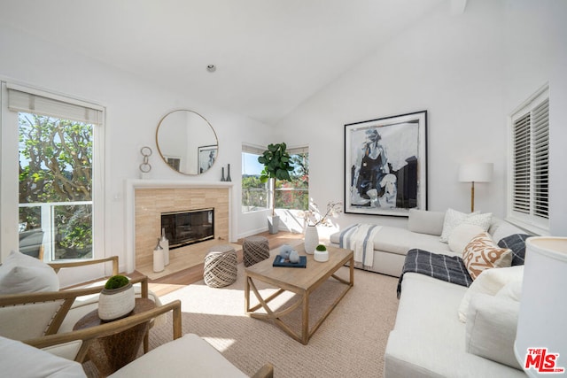 living room featuring a fireplace, light hardwood / wood-style floors, high vaulted ceiling, and a healthy amount of sunlight