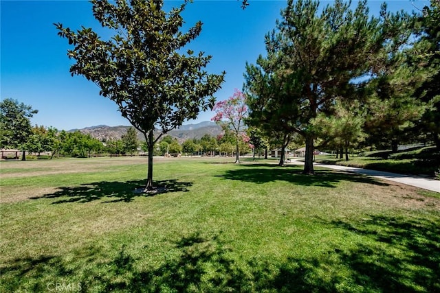 view of property's community featuring a mountain view and a yard