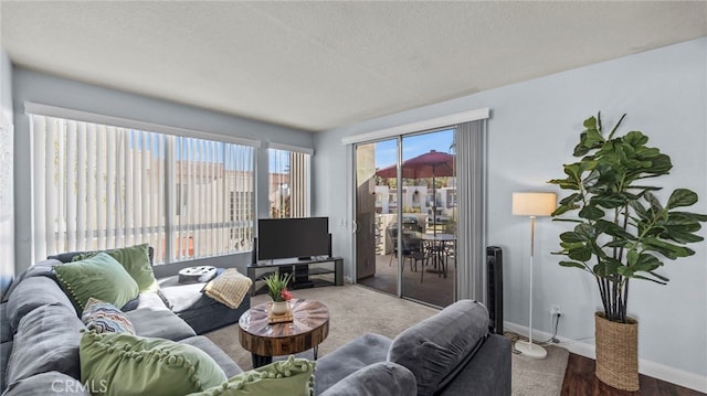 living room with hardwood / wood-style floors and a textured ceiling