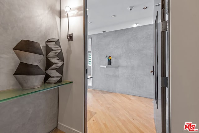 bathroom with wood-type flooring