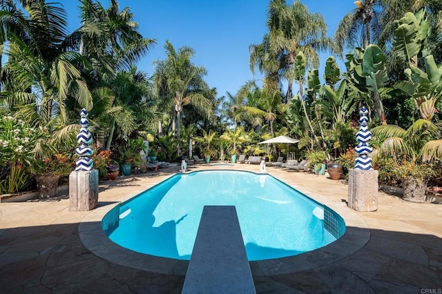 view of pool featuring a diving board and a patio