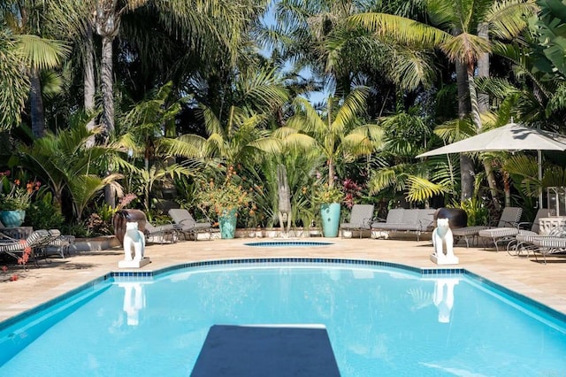 view of pool featuring an in ground hot tub and a patio