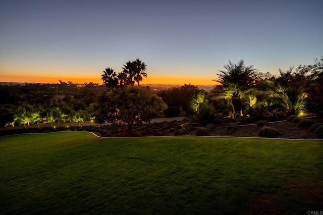 view of yard at dusk