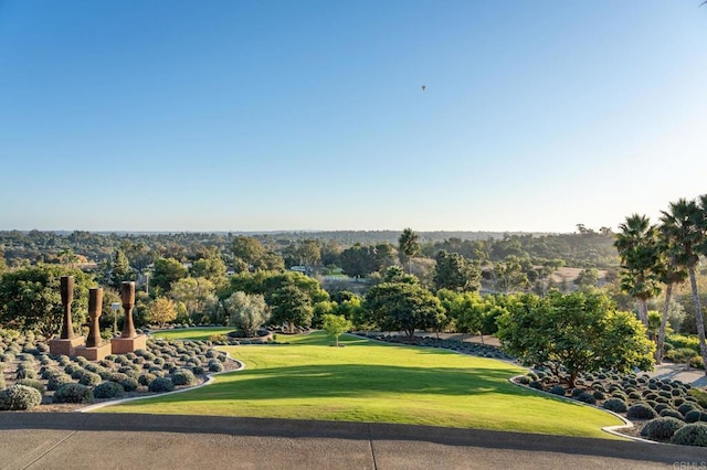 view of home's community with a lawn