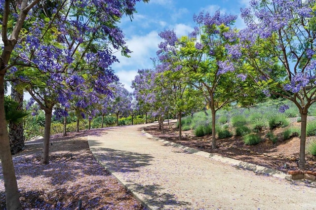18245 Paseo Victoria, Rancho Santa Fe, CA 92067 - view of community