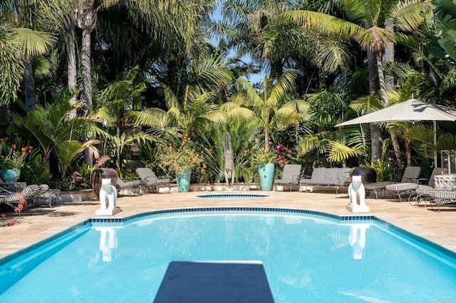 18245 Paseo Victoria, Rancho Santa Fe, CA 92067 - swimming pool featuring an outdoor hot tub and a patio area