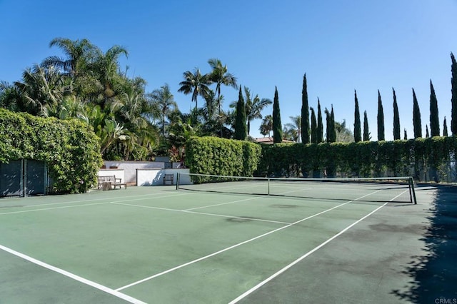 18245 Paseo Victoria, Rancho Santa Fe, CA 92067 - view of tennis court